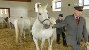Das Glück dieser Erde, Dreharbeiten für Heute in Österreich