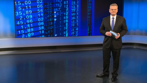 Transparent – aber nicht durchsichtig, Public Value Bericht 2015/16: Dieter Bornemann, M.A. – ORF