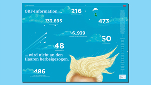 ...nicht an den Haaren herbeigezogen, Public Value Bericht 2016/17 - Internationaler Wert - Poster