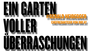 Ein Garten voller Überraschungen, #Gerald Heidegger, Chefredakteur von ORF.at