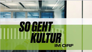 So geht (Pop)Kultur im ORF - Die Bilderbuch-Dokumentation, Siegfried Steinlechner, ORF Kultur